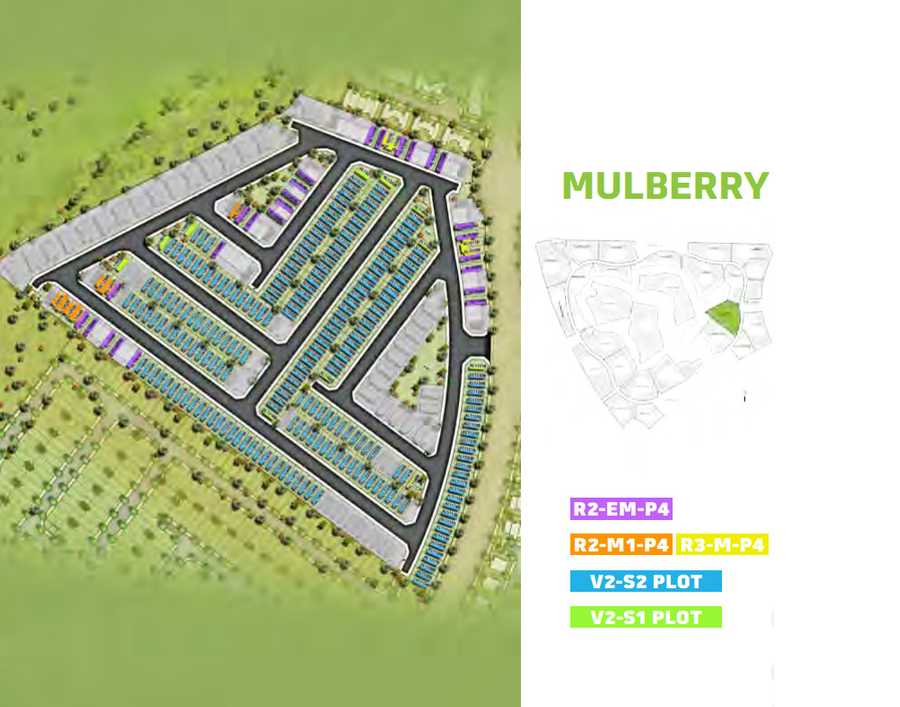 Mulberry – Area View