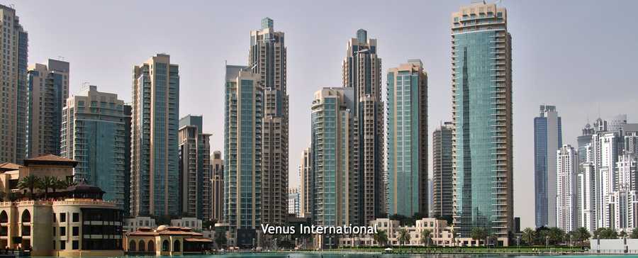 Venus International Holding LTD