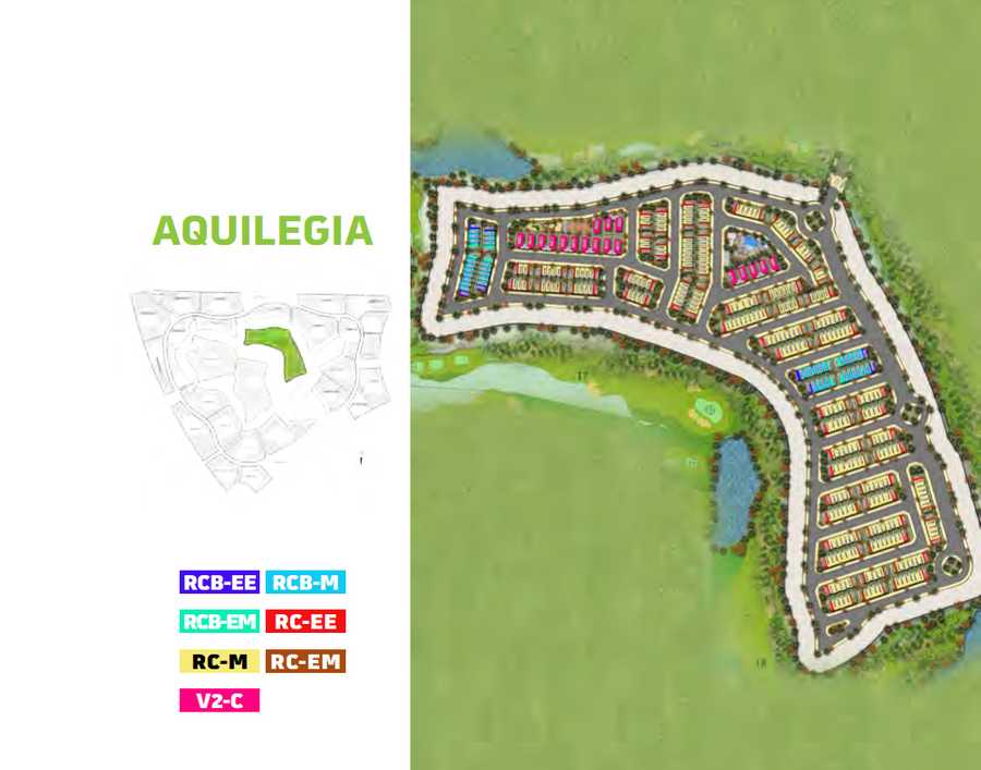 Aquilegia – Area View