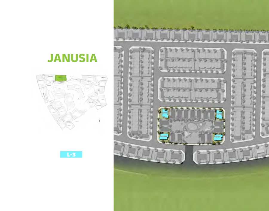 Janusia – Area View